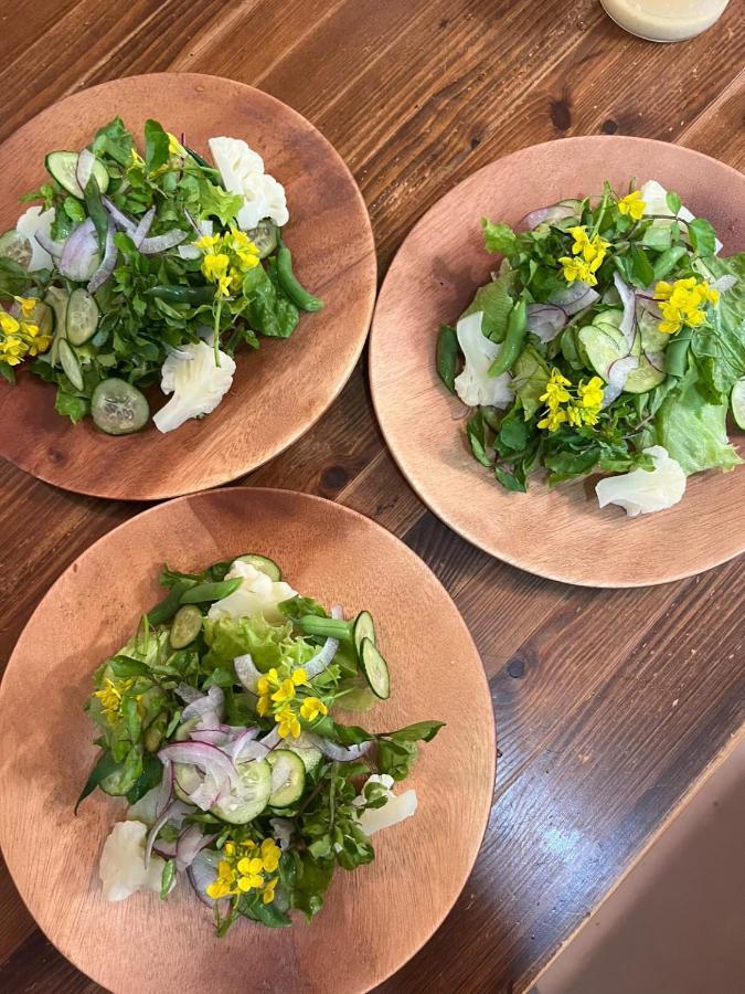 Готель Vegetarian House Jamoo Яманакако Екстер'єр фото